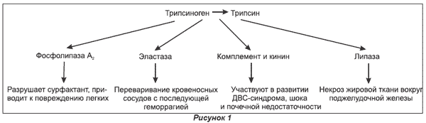 Патогенез острого панкреатита схема