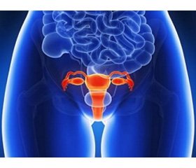 Особливості біоценозу  та функціональної активності вагінального епітелію при місцевому лікуванні атрофічних вікових вагінітів