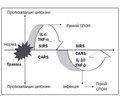 Роль та місце ОМЕГА-3 жирних кислот у регуляції синдрому системної відповіді на запалення в пацієнтів, які отримують інтенсивну терапію