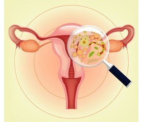 Влияние нифуратела на вагинальную флору в условиях in vitro: можно ли рассматривать данный препарат как оптимальное средство для лечения бактериального вагиноза?
