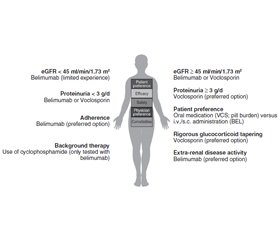 Рекомендації EULAR-2023 щодо ведення СЧВ: короткий огляд лікування люпус-нефриту — перспективи Європейської асоціації нирок (ERA) — робочої групи з імунонефрології (ERA-IWG)