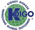 Executive summary of the 2018 KDIGO  Hepatitis C in CKD Guideline:  welcoming advances in evaluation and management
