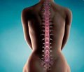 Изучение информированности врачей общей практики о проблеме остеопороза